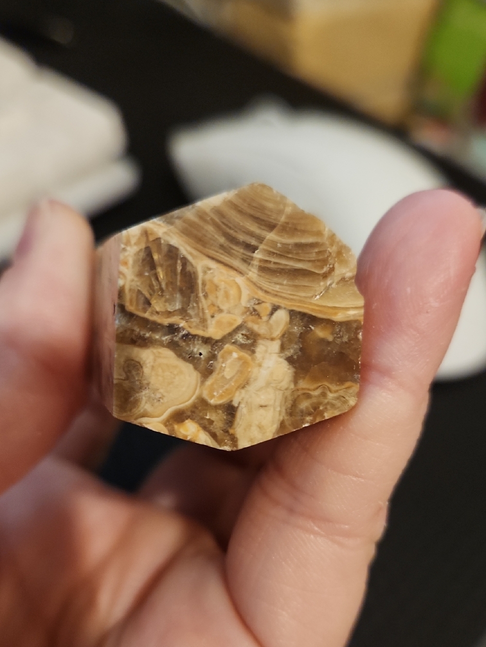 Fossiliferous Limestone/Calcite Point/Tower - Picture 5 of 11